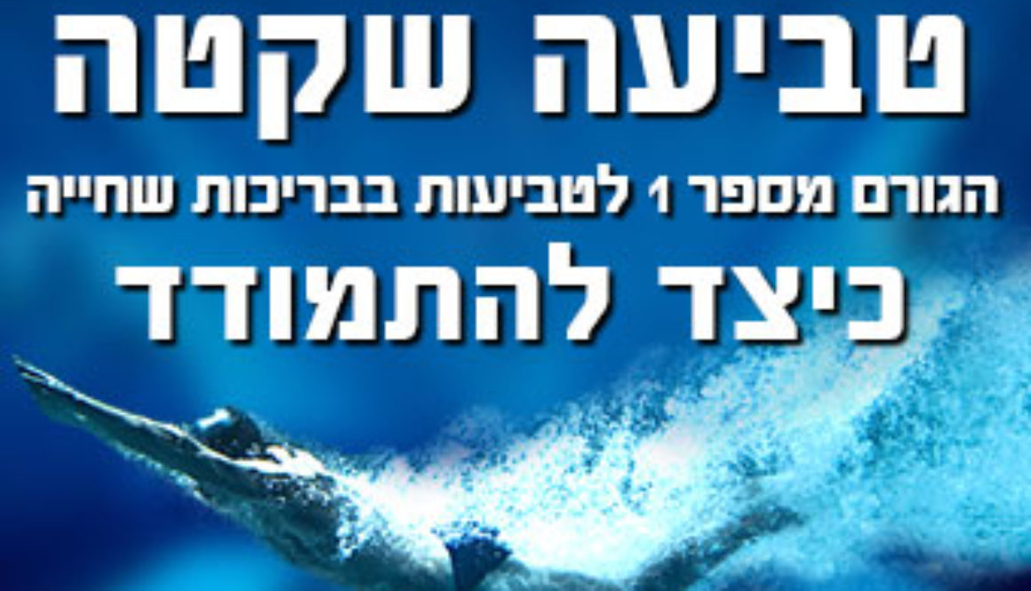 טביעה-שקטה